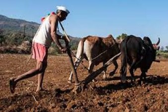 किसानों को मिली राहत, खातों में पहुंचे 11 हजार करोड़ रुपये