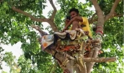 Telangana: Student isolated himself on bamboo tree, spent 11 days