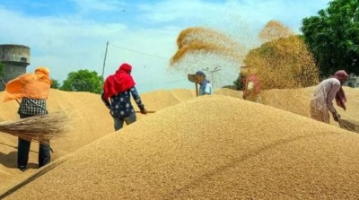'Government lifts ban on wheat export immediately..', 23 farmers' organizations of Punjab threaten agitation