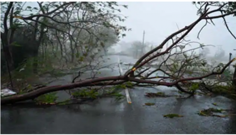 Army took the tasks to save people as cyclone wreaked havoc in Gujarat