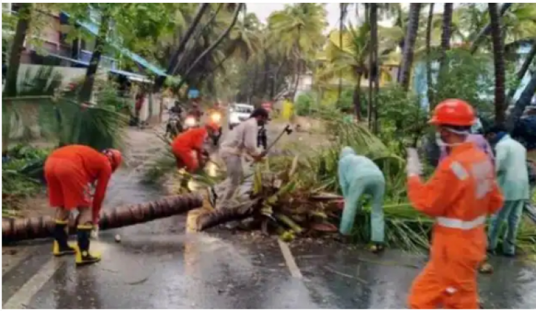 Cyclone Tauktae: Maharashtra reports heavy rainfall, 12 killed so far
