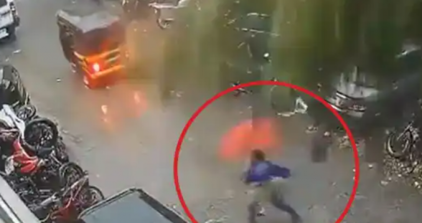 VIDEO viral: Woman moved away from the spot before the tree uprooted and fell there