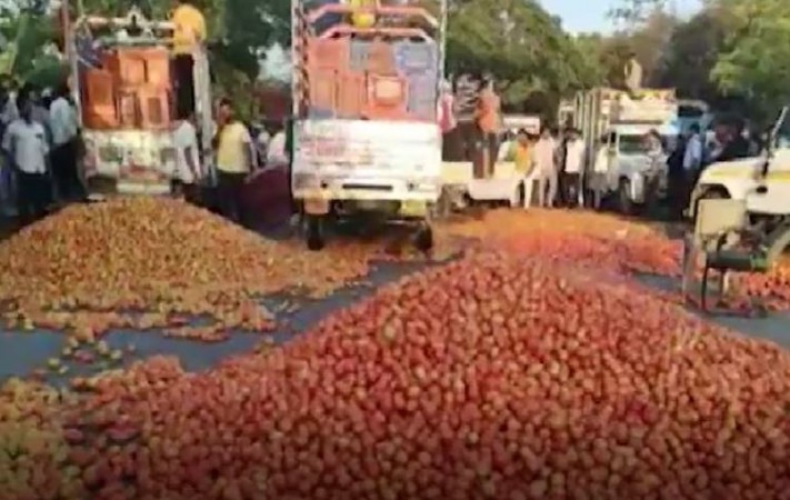 Farmers got angry when the price was quoted at Rs 1 per kg, they threw away all the tomatoes