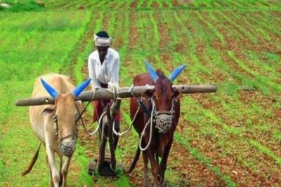 Subsidy for farmers to grow crops other than paddy, CM Baghel announces