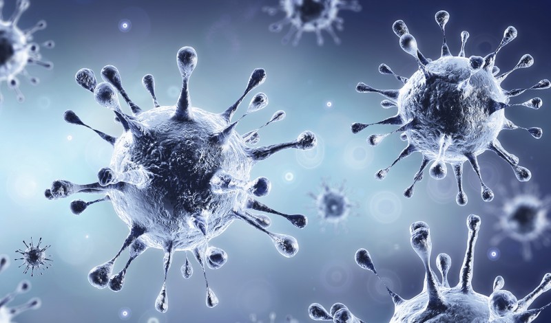 Corona may become common cold flu virus in future