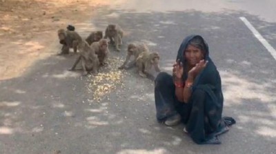 This old mother considers monkeys as her children, doing this 'good' work continuously for 8 years