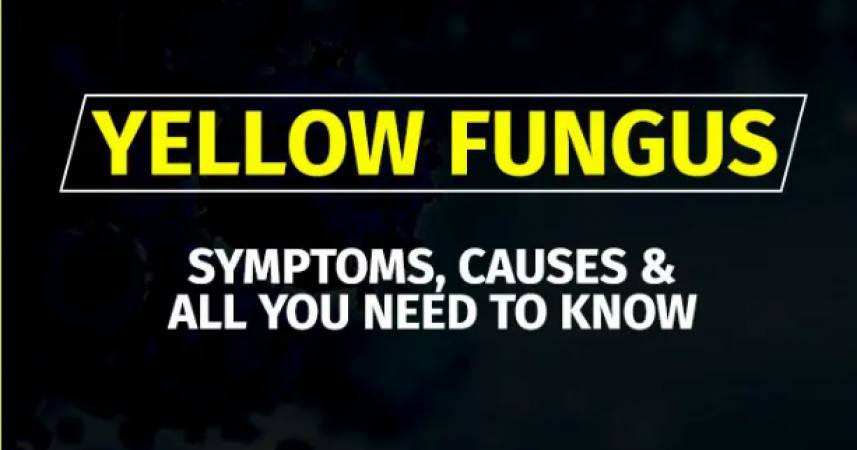 Find out what is Yellow Fungus and what are its symptoms?