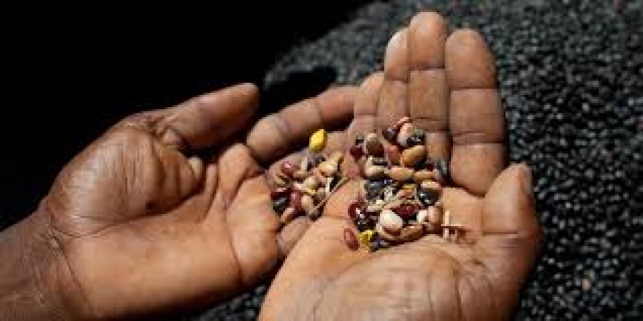 Punjab: Case of selling fake seeds to farmers heated up