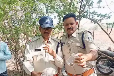 Fruits bursting like firecrackers, even police are stunned after seeing strange trees
