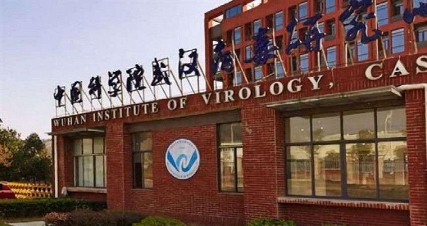 चीन ने चमगादड़ में से वायरस निकला, फिर लैब में उसे और खतरनाक और संक्रामक बनाया - नई रिसर्च में दावा