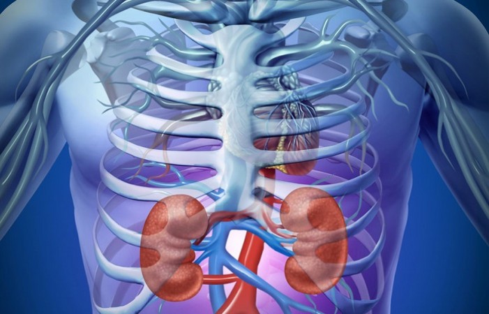These 5 symptoms indicate the kidney problem