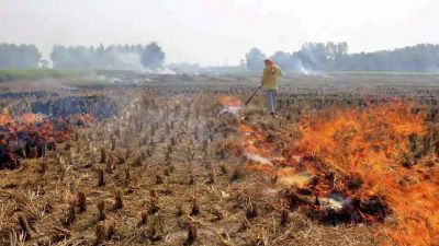 FIR filed for burning stubble, angry farmers protests on the streets