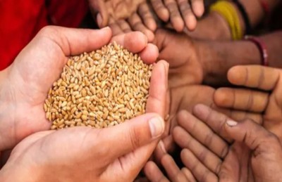 Wheat and rice will disappear! Scientists gave intimidating warning