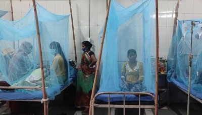पूरे देश में डेंगू के सवा लाख केस, दिल्ली में चिकनगुनिया और मलेरिया का भी अटैक