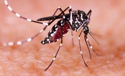 Health department meets on zika virus havoc in Kanpur, sudden increase in cases