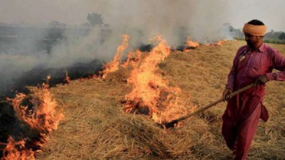 Punjab government strict on burning stubble, 22 farmers arrested, 45 FIR registered