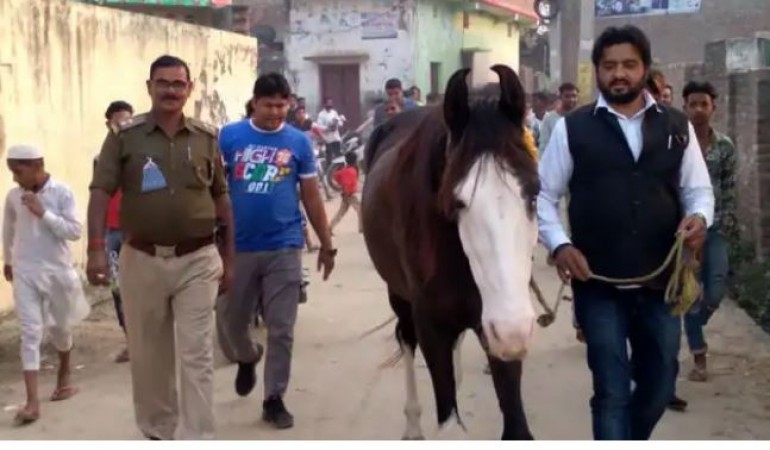 रामपुर: भैंस के बाद पुलिस ने ढूंढी नेता की घोड़ी