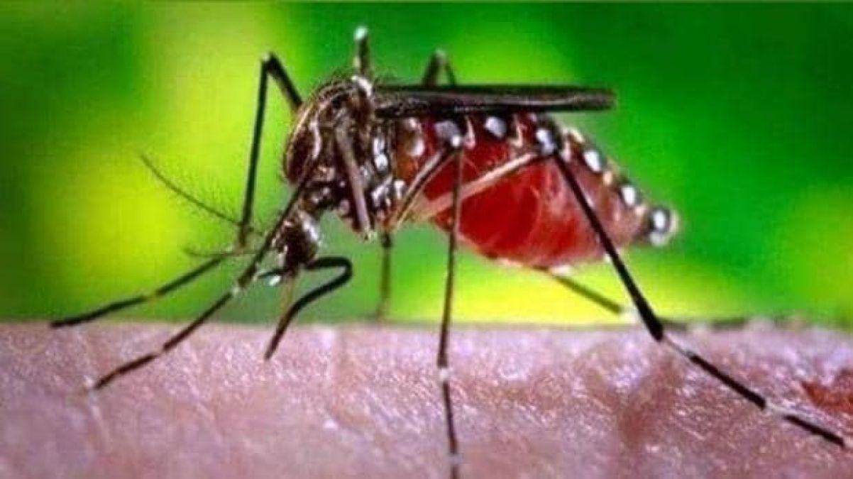 Dengue wreaks havoc in  Nepal, number of patients increased