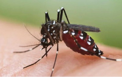 Mamata govt in Bengal hiding dengue data, alleges Union minister Mandavia