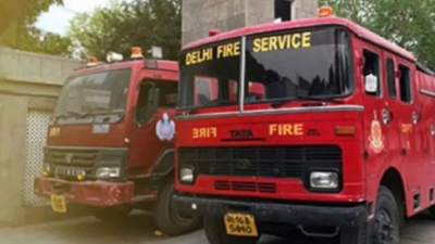 Delhi Fire Service Received 205 Calls On Diwali Night