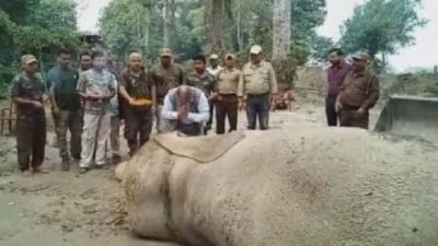 Elephant Laden died in Goalpara Assam