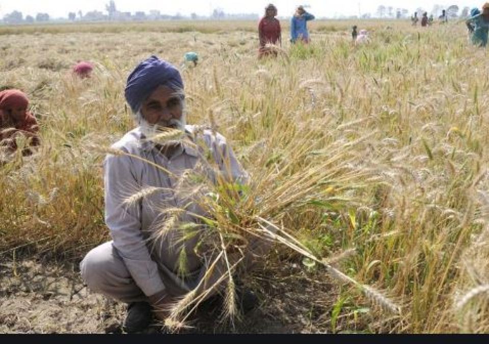 Big disclosure of loan waiver of farmers in Punjab, 338 crores not yet given