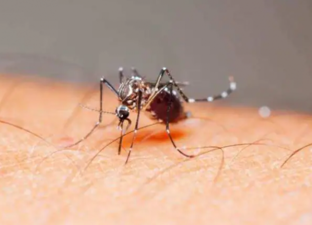 First case of Zika virus found in Fatehpur, government alert