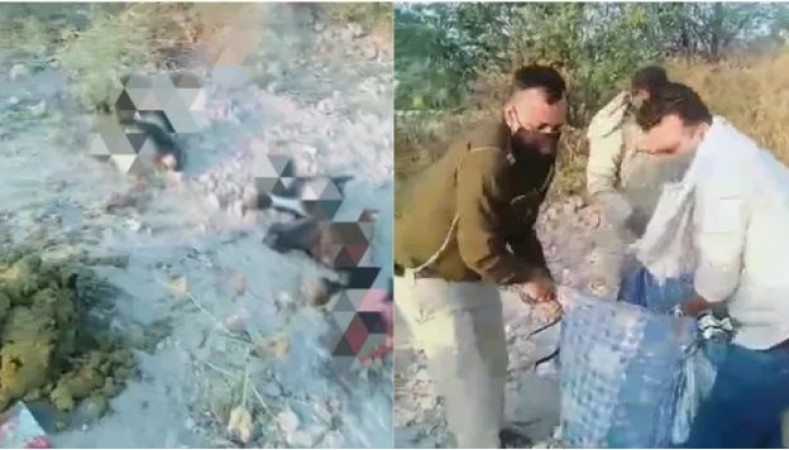 Severed heads of cows found lying on the road in Ghazipur