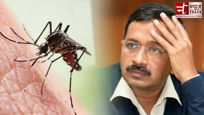 दिल्ली में डेंगू ने तोड़ा पिछले 5 साल का रिकॉर्ड, चिकनगुनिया-मलेरिया के भी केस बढ़े