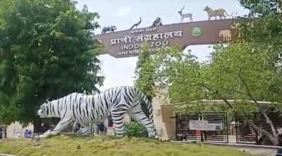 प्रवासी भारतीय सम्मेलन के पहले इंदौर Zoo को मिलेगा आकर्षक स्वरूप