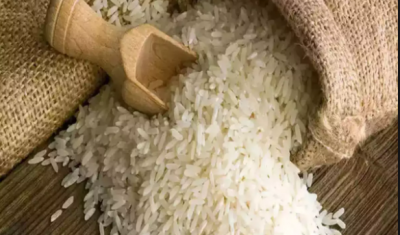 बालाघाट के चिन्नौर चावल को मिला जीआई टैग