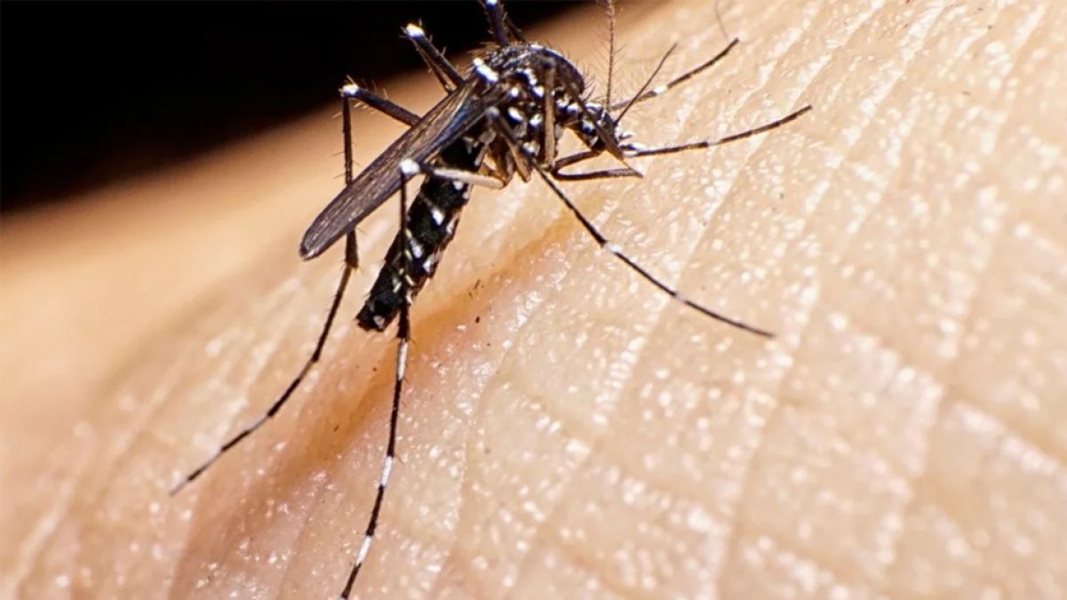 Dengue, floods and rains increased troubles of Bihar, 150 cases so far