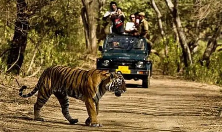 Modi govt to rename Jim Corbett Tiger Reserve, Ashwini Choubey instructs