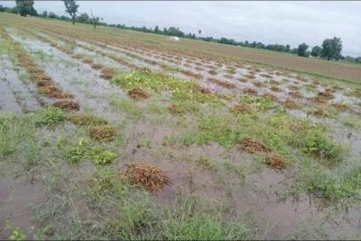 बारिश से फसलों को हुआ भारी नुकसान, मिलेगा प्रधानमंत्री फसल बीमा योजना का लाभ