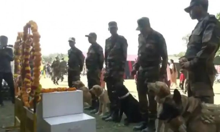 Zoom given final farewell by the Indian Army, many officers were also present