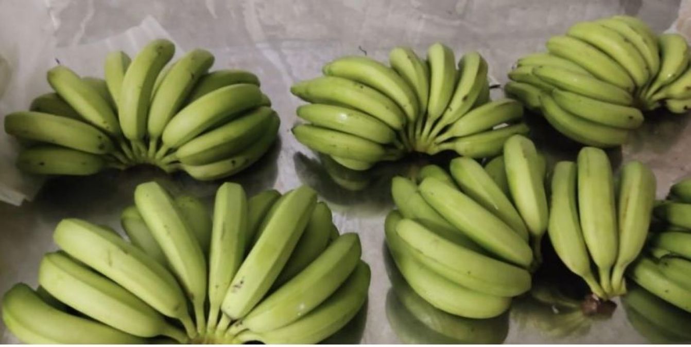 Uttar Pradesh to export banana of Lakhimpur to other countries