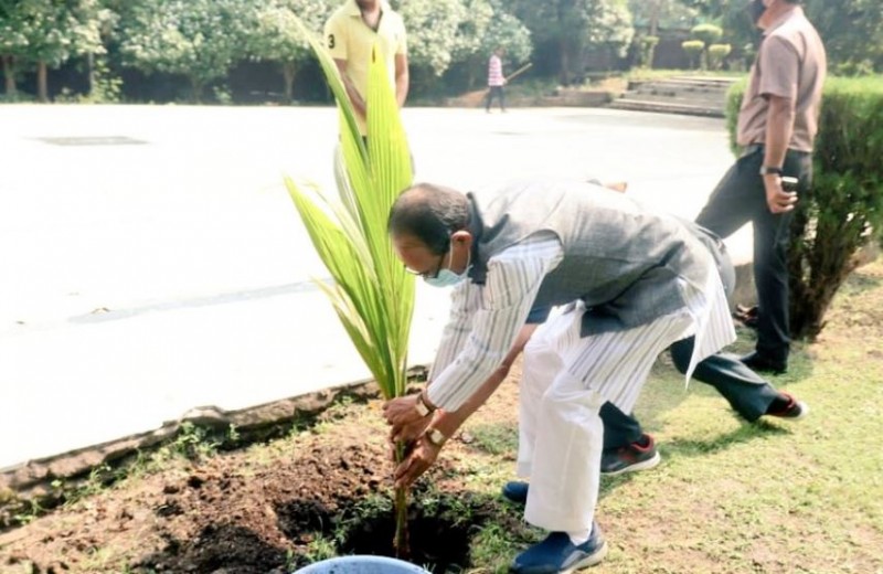 CM Shivraj planted coconut plant