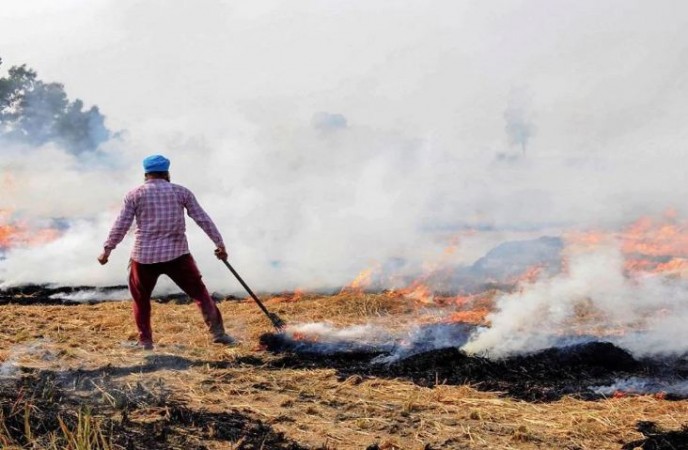 पंजाब में पराली पर घमासान, किसान बोले- राज्य सरकार ने नहीं की कोई मदद