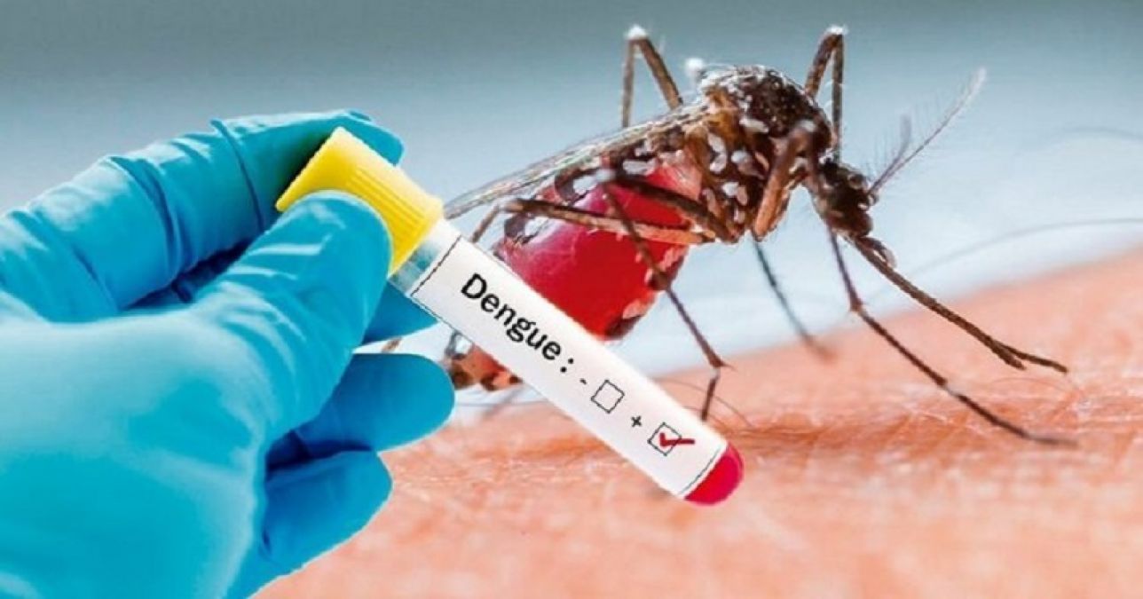 Maharashtra: Dengue havoc continues in Aurangabad, seven people dead, many sick