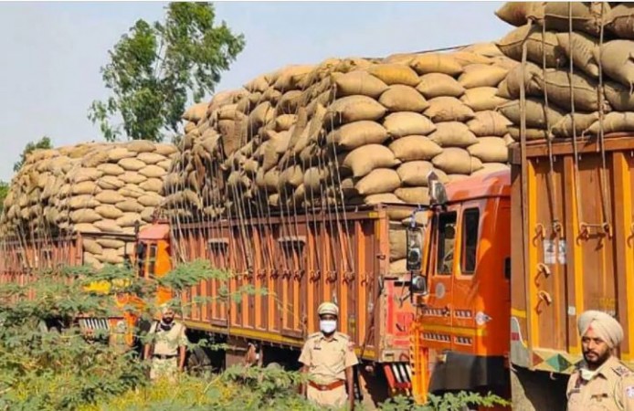 Police seized 8000 tons of paddy illegally sold by commission agents in Punjab