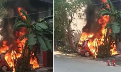 नोएडा: अचानक आग का गोला बन गई कार, ड्राइवर ने किसी तरह कूदकर बचाई जान