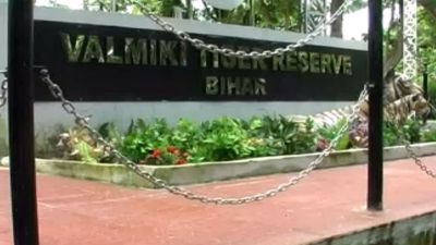 Crowd of tourists gathered in Valmiki Tiger Park, administration started new services