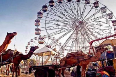 Animal fair will not be held in Pushkar due to lumpy virus, 74k animals have died