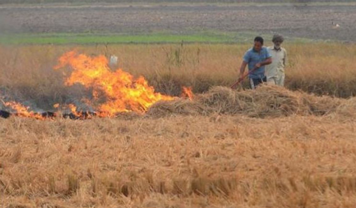 With the help of scientists, agricultural waste has also become a source of income, know how