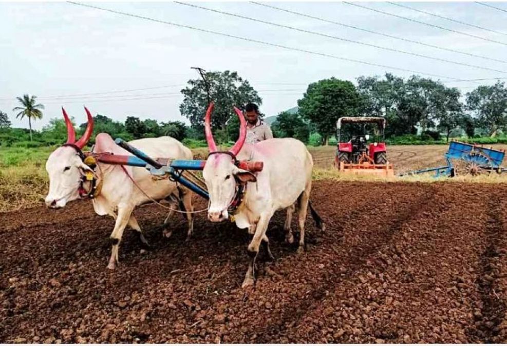 वैज्ञानिकों की मदद से कृषि कचरा भी बन गया है कमाई का जरिया, जानिए कैसे