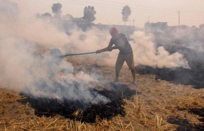 Delhi High Court refuses to hear plea related to burning stubble