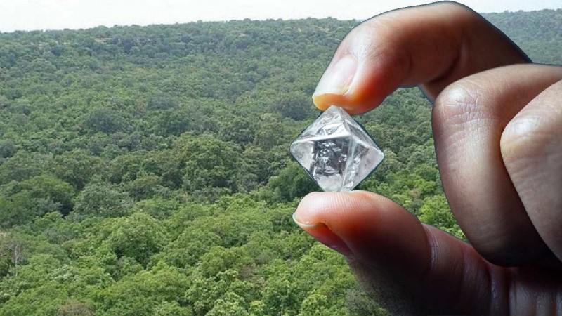 Chandel era heritage found in Buxwaha forest, HC banned diamond mining