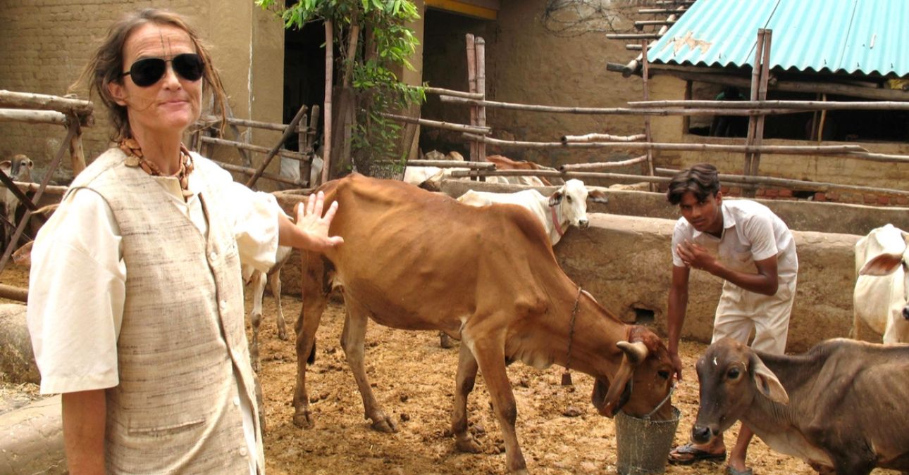 This Germany  woman is serving cow for 25 years, now received the first Swami Brahmanand Award