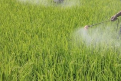 Himachal Pradesh Government bans harmful pesticides and fertilizers