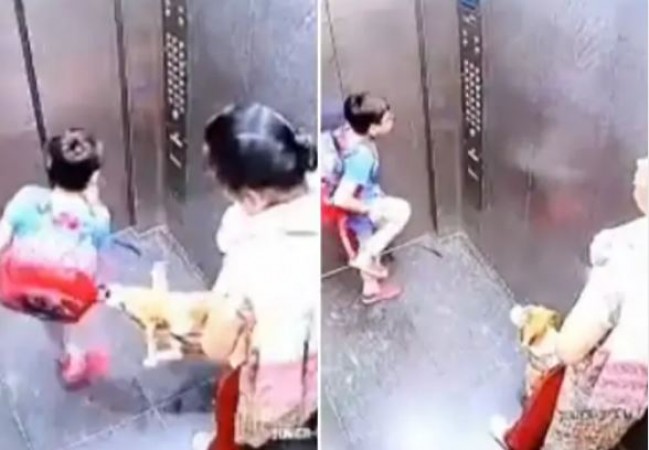 Viral Video: Pet dog bites baby in elevator, mistress watches silently
